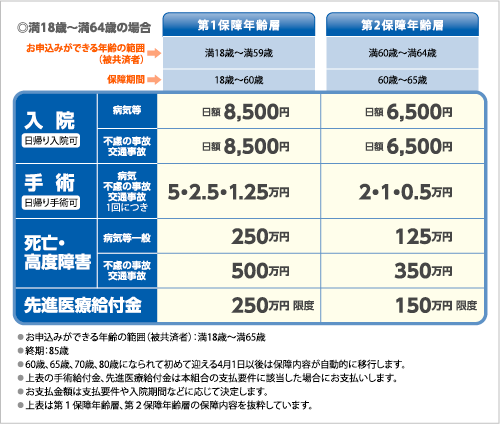 県民 共済 の 内容